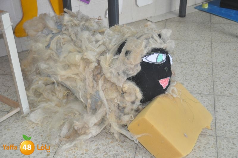 ad7a 3eed lud school 111 (49).JPG